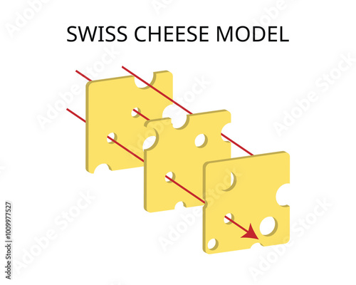 Swiss Cheese Model of accident causation is a model used in risk analysis and risk management