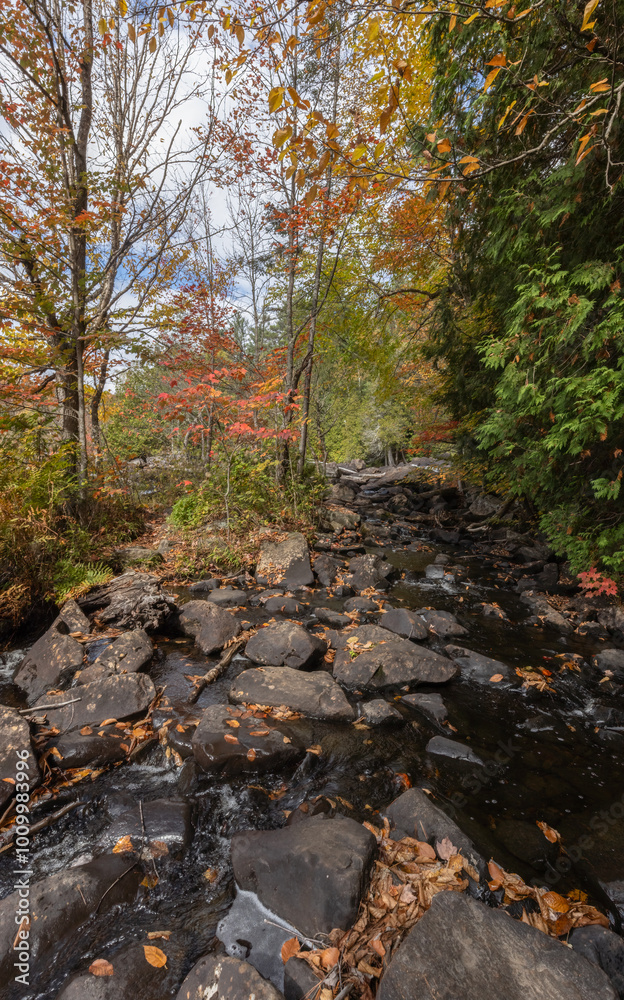Water flowing down a rocky river with autumn colours in surrounding forest in Ontario Canada Water flowing down a rocky river with autumn colours in surrounding forest in Ontario Canada
