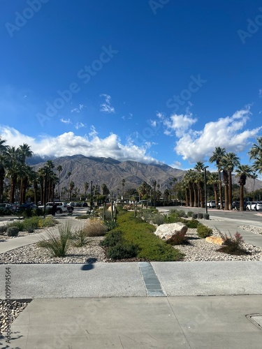 Palm Springs California Airport View