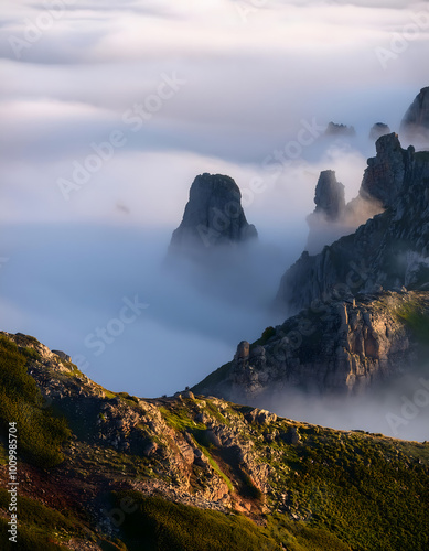 Beautiful landscape of mountains with forests covered in fog.