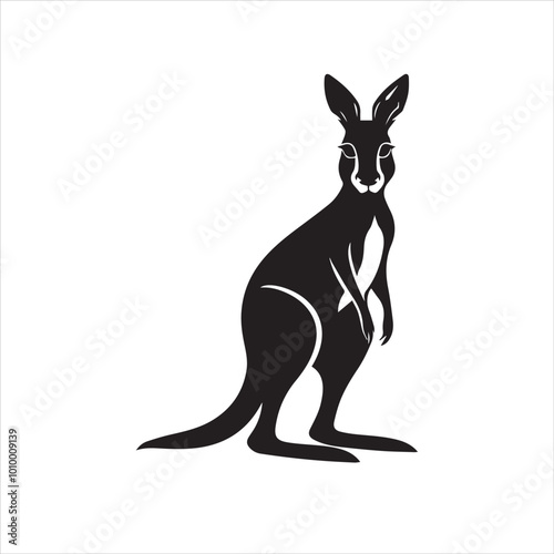 kangaroo illustration,animal, cartoon, vector, illustration, donkey, mammal