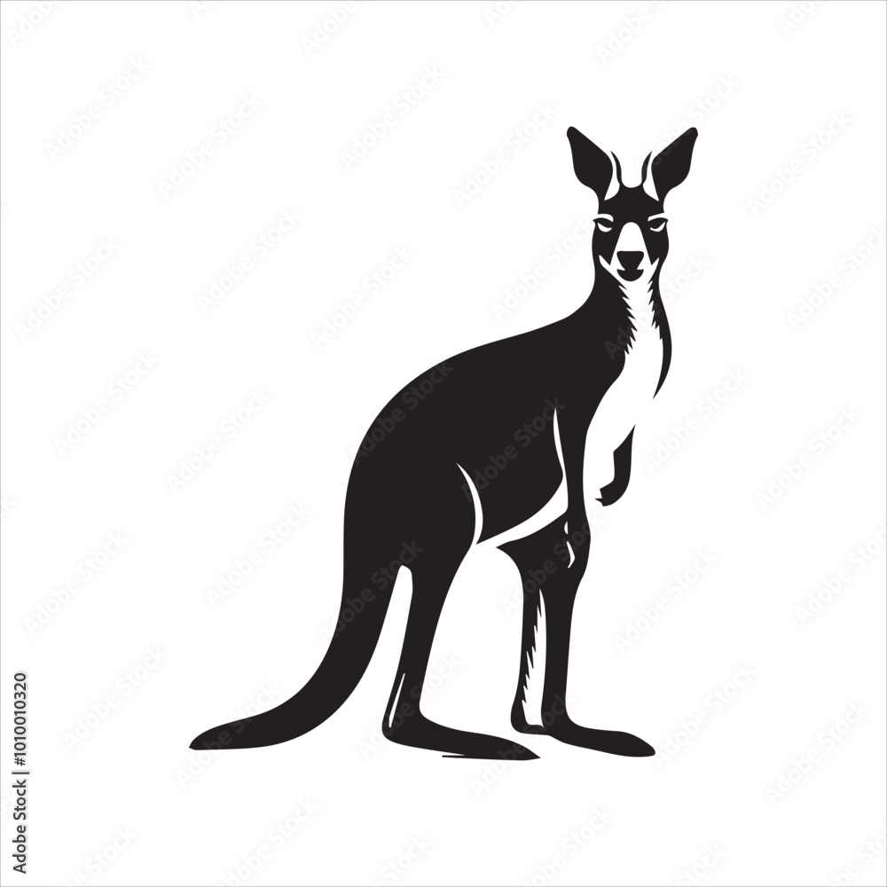 kangaroo illustration,animal, cartoon, vector, illustration, donkey, mammal kangaroo illustration,animal, cartoon, vector, illustration, donkey, mammal
