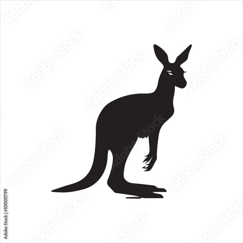 kangaroo illustration,animal, cartoon, vector, illustration, donkey, mammal