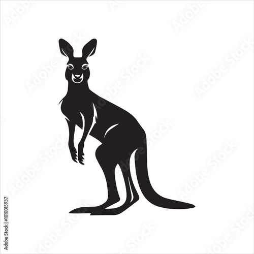 kangaroo illustration,animal, cartoon, vector, illustration, donkey, mammal