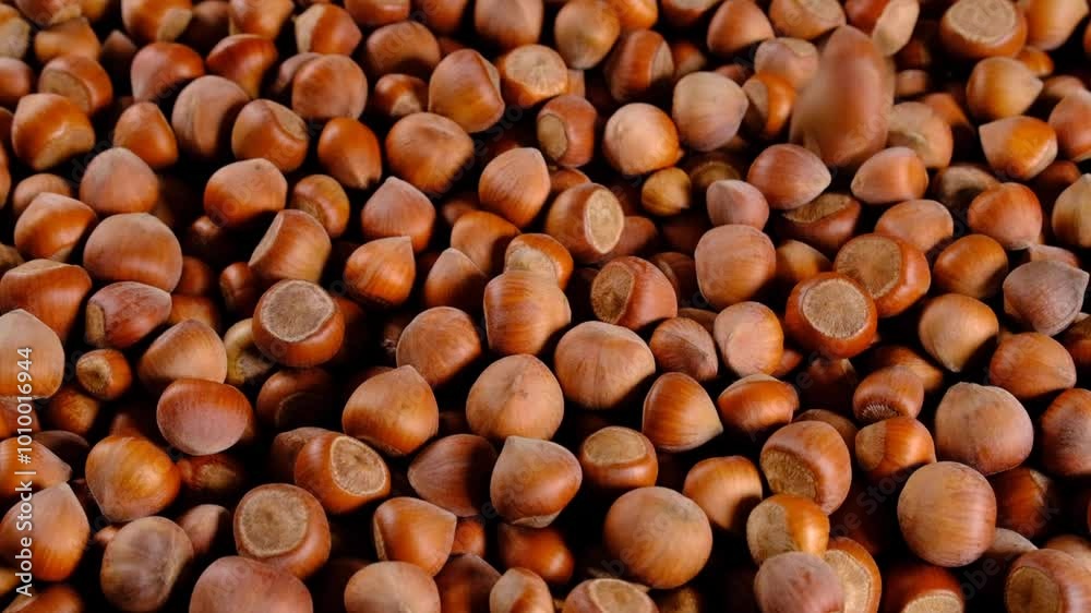 Whole hazelnuts close-up falling in slow motion Whole hazelnuts close-up falling in slow motion
