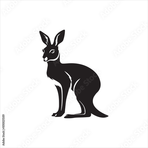 kangaroo illustration,animal, cartoon, vector, illustration, donkey, mammal