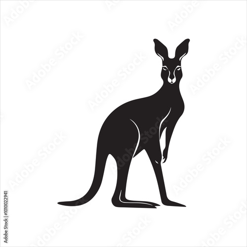 kangaroo illustration,animal, cartoon, vector, illustration, donkey, mammal