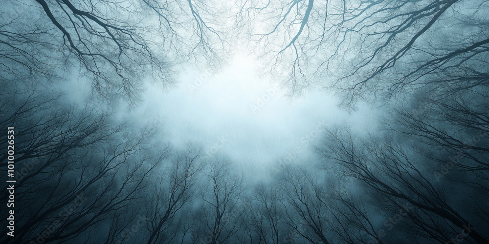 Obraz premium scenes of a Scandinavian winter forest. 