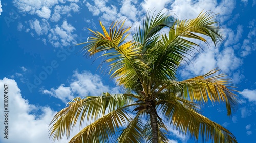 A palm tree against a bright blue sky with scattered clouds.