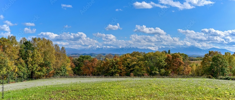 Fototapeta premium 美瑛の丘で見た青空バックの十勝連峰とカラフルな紅葉のパノラマ情景