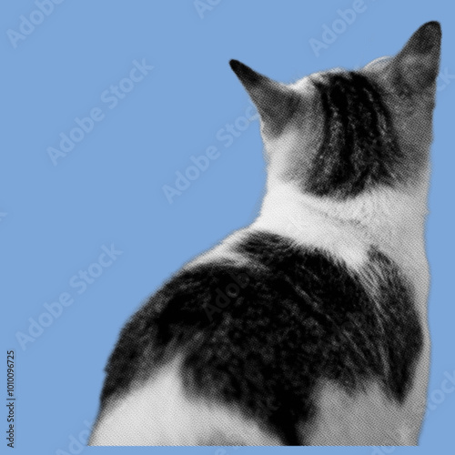 rear view of cat pixelate grayscale color halftone dotted texture style collage element isolated on blue background