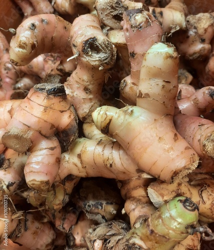 Galangal is one of the spices that is widely used in Indonesian food.