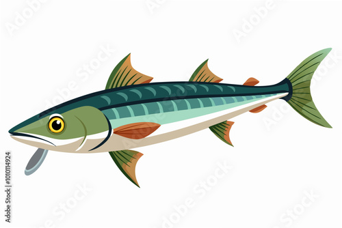  Fresh sturgeon fish vector illustration photo