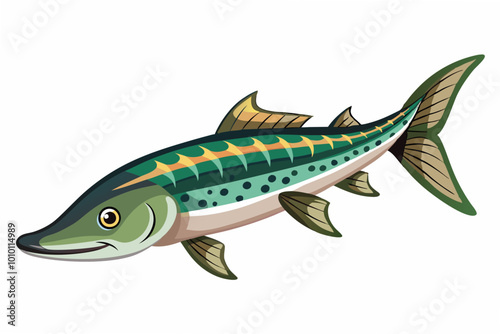  Fresh sturgeon fish vector illustration photo