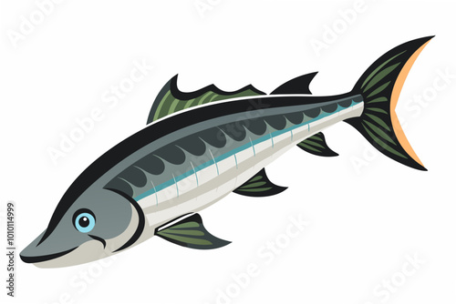  Fresh sturgeon fish vector illustration photo