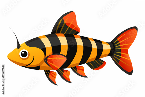 Clown loach fish vector illustration photo