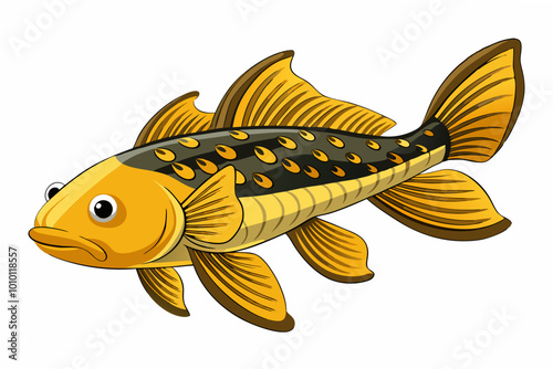  Golden nugget pleco catfish Plecostomus