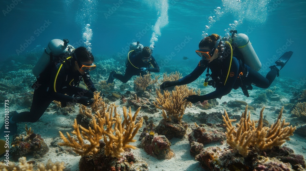 Underwater Adventure: Exploring the Vibrant Coral Reef Underwater Adventure: Exploring the Vibrant Coral Reef