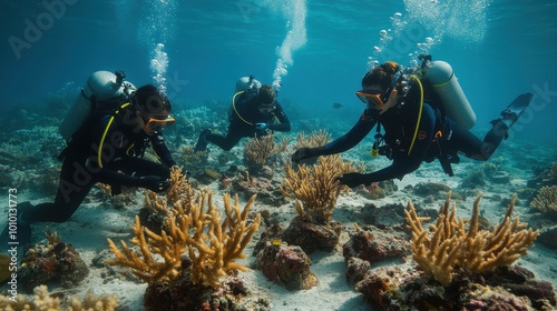 Underwater Adventure: Exploring the Vibrant Coral Reef