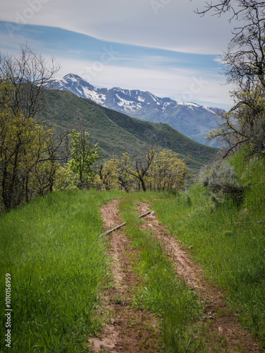 Two track ATV trail in Wasatch Mountain Range in Spanish Fork Canyon in Uinta National Forest near Provo utah photo