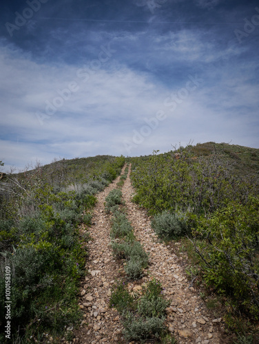 Two track ATV trail up hill in Wasatch Mountain Range in Spanish Fork Canyon in Uinta National Forest