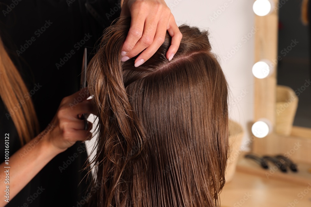 Hair cutting. Professional hairdresser working with client in salon, closeup Hair cutting. Professional hairdresser working with client in salon, closeup