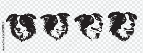 Black and White Australian Shepherd Dog Illustration - Perfect Vector Art Design