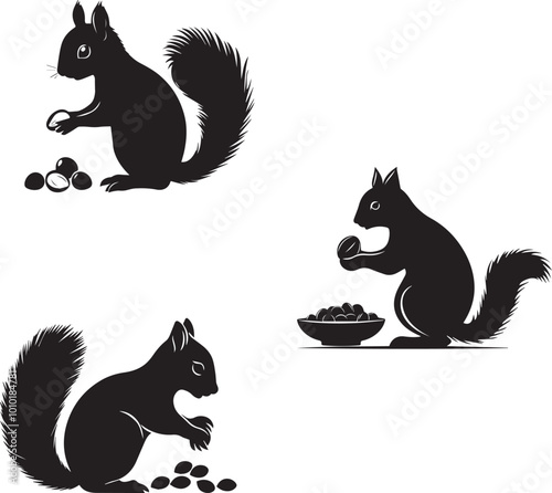 Silhouette of a squirrel gathering nuts, vector silhouette of squirrel with nuts