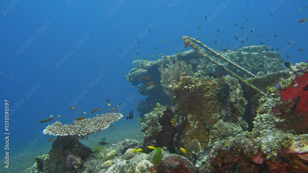 An artificial reef on the sandy bottom of a tropical sea made of metal structures and concrete overgrown with corals provides shelter for numerous tropical fish.