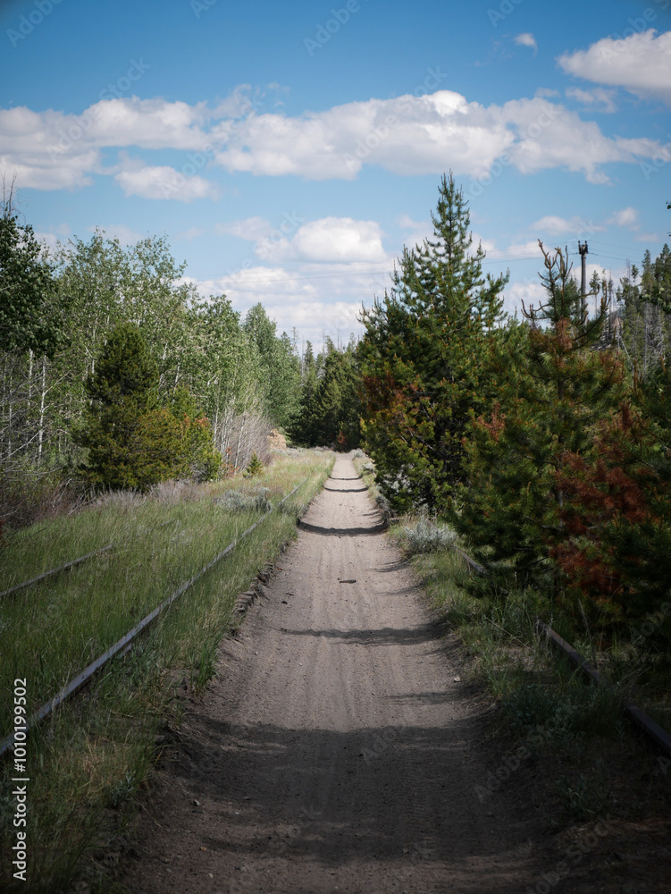 Obraz premium ATV trail next to old train tracks in Pipestone Montana in summer