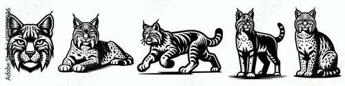 Wallpaper Mural Set of bobcat silhouette vector illustration collection, wild big cat clip art element design mascot symbol Torontodigital.ca