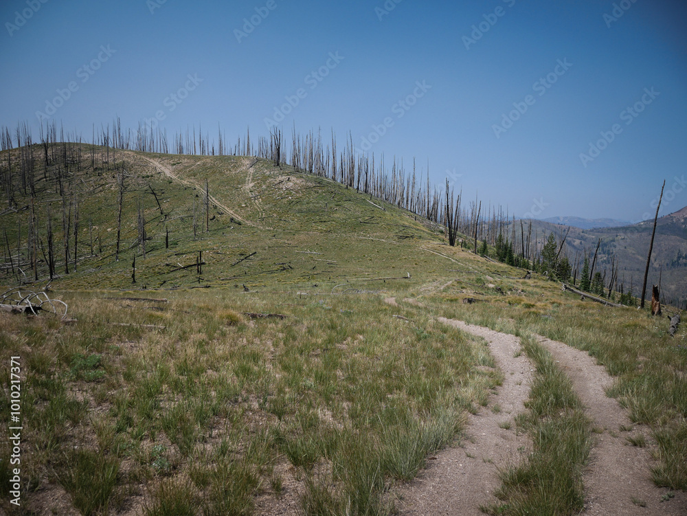 Obraz premium Dirt road through Sawtooth Mountains in the Yankee Fork near Stanley Idaho in summer in burn area