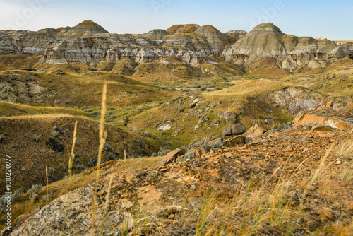 Dinosaur provincial park.