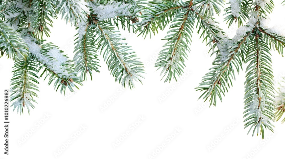 christmas background with christmas branches and decorations