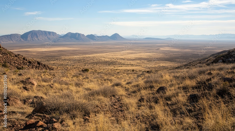 Vast landscapes stretching beyond sight. Vast landscapes stretching beyond sight.