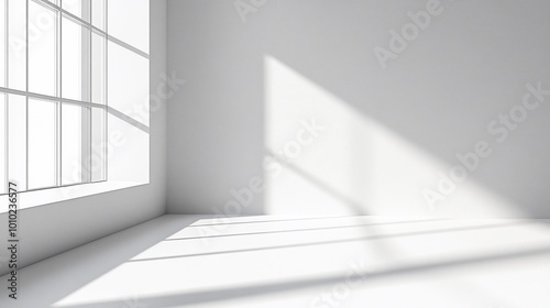 Minimalist empty room with large window and sunlight casting shadows on the wall and floor.