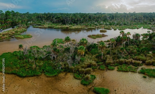 Swamp marshland and tropical forest in Bulow Creek State Park, Ormond Beach, Florida, United States.