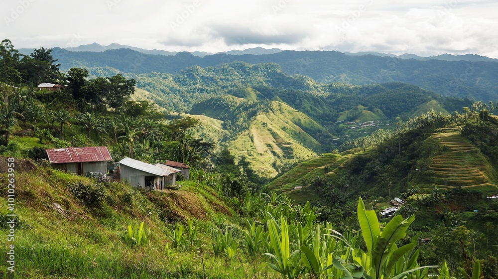 Stunning View of Lush Green Mountains and Terraced Fields Stunning View of Lush Green Mountains and Terraced Fields