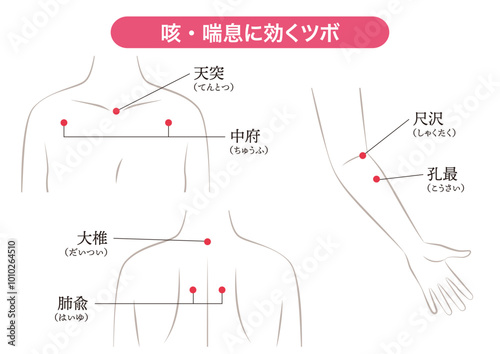 咳・喘息に効くツボ
