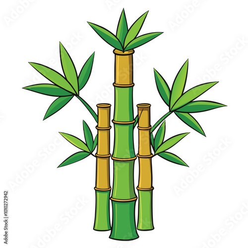 bamboo tree.