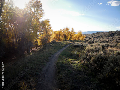 Dirt bike trail next to yellow aspens at sunset in Hartman Rocks Recreation Area in Gunnison Colorado