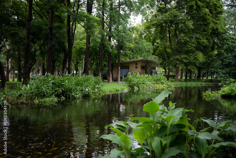 Obraz premium gazebo on the lake