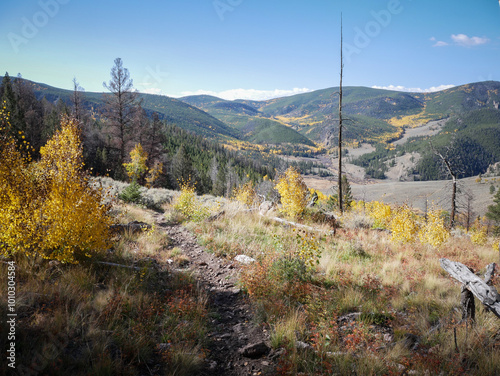 Trail on hillside through aspen trees in Gunnison National Forest near Sargents Colorado in autumn photo