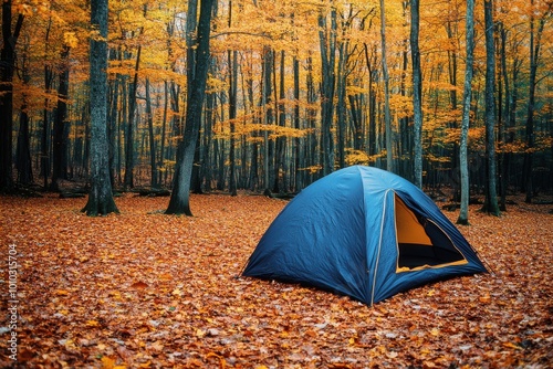 Camping in the woods during fall, colorful, vibrant, golden leaves photo