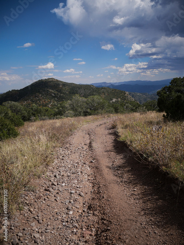 Dirt road in Texas Creek Recreation Area in central Colorado on grassy hill