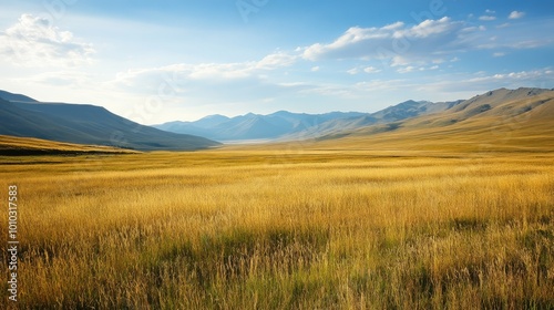 Vast landscapes stretching beyond sight.