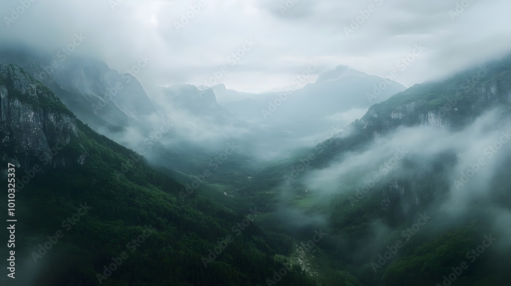 Misty Mountain Valley Misty Mountain Valley