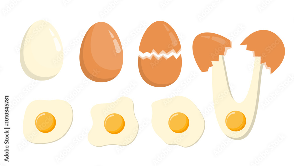 Фотография Eggs Collection. Eggshell, Fried and Boiled Eggs Vector Flat Set.