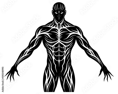 human body silhouette vector illustration