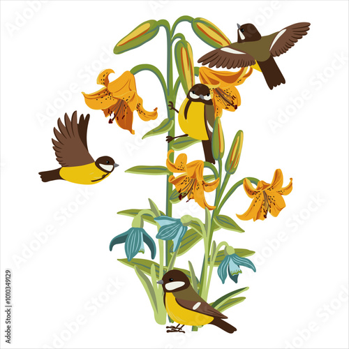 yellow lilies, blue snowdrops and great tit birds, vector drawing flowers at white background, hand drawn botanical illustration